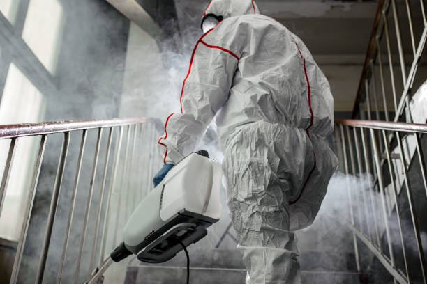 Best Comprehensive Air Testing for Mold Contaminants  in Smyrna, TN